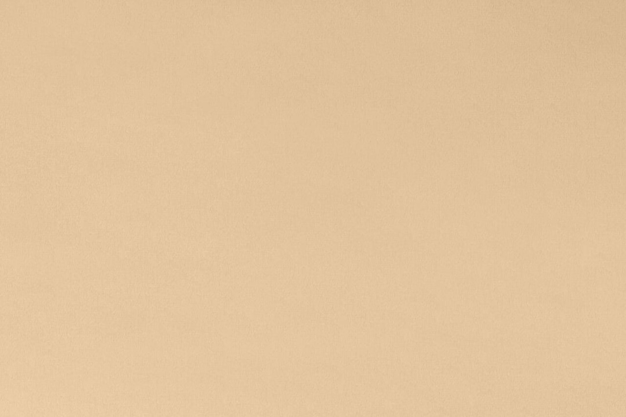 Fabric Shannon Latte 90" Extra Wide Solid Cuddle 3 by the Quarter Yard C390-LATTE